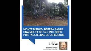 Monte Bianco Deberá pagar una multa de 365 millones por tala ilegal de un bosque [upl. by Thebault]