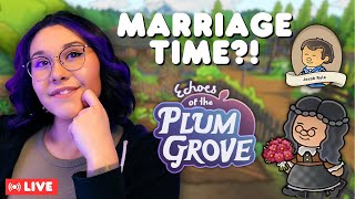 How To Get Married in Echoes of the Plum Grove [upl. by Pietrek769]