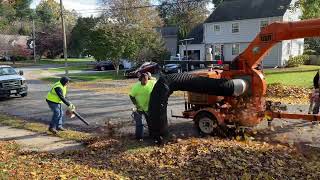 ODB LCT600 Leaf Vacuum Picking Up Leaves on a Chilly November Afternoon [upl. by Frum]