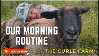 The Curle Farm Morning Routine  New Zealand Lifestyle block [upl. by Nolyarg459]