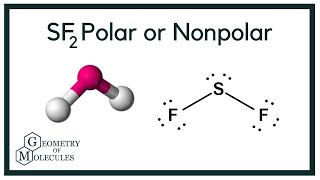 Is SF2 Polar or Nonpolar Sulfur Difluoride [upl. by Eidnarb926]