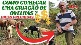 DICAS PRECIOSAS DO quotRIVAquotCOMO COMEÇAR SUA CRIAÇÃO DE OVELHAS💰💰🐑  RAÇAS 🐏 ALIMENTAÇÃO ETCC [upl. by Cathryn]