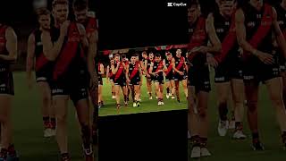 Essendon Bombers [upl. by Velleman]