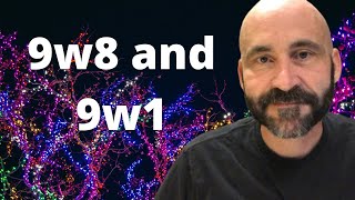 Enneagram The Difference Between 9w8 and 9w1 [upl. by Mandal]