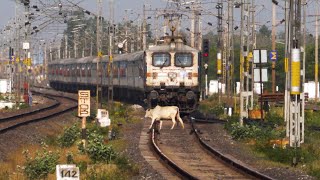 Live Train accident Train Hits Cow Crossing Railway Line At High Speed [upl. by Onfre]