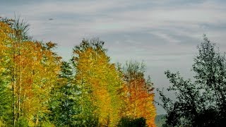 Klosterneuburg im Nebel [upl. by Doughty]