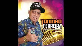 TONINHO FERREIRA  CD 2022  COMPLETO [upl. by Nyrroc]