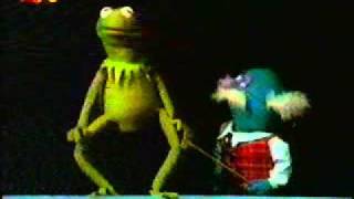 Sesamstraße  Kermit und Professor Hastig  Körperteile deutsch [upl. by Nawek116]