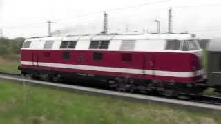 Eisenbahnfest Putbus mit Dampflok BR 01 509112 565118 770 Ferkeltaxe und schmaler Spur [upl. by Tomlinson]