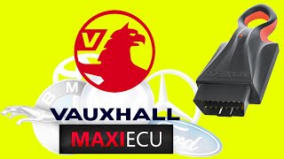 MaxiECU on a Corsa C  Vauxhall Opel Diagnostic software for PC [upl. by Ysle]