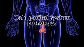 Male genital system pathology lecture [upl. by Isdnyl809]