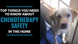 Top Things You Need to Know about Chemotherapy Safety in the Home VLOG 66 [upl. by Burgess]