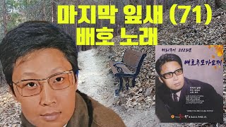 배호 마지막 잎새 정귀문 작사 배상태  작곡  배호 추모 가요제 [upl. by Ayikin]