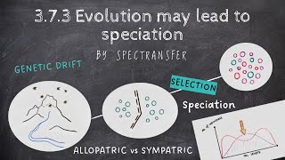 EASY REVISION AQA ALevel Biology 373 Evolution may lead to speciation [upl. by Meave546]