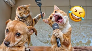 Funniest Animals 😄 New Funny Cats and Dogs Videos 😹🐶  Part 8 [upl. by Reynold281]