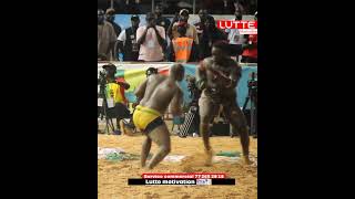 Bagarre intense entre siteu et modou Lo incroyable regardez shorts abonnezvous [upl. by Arama287]