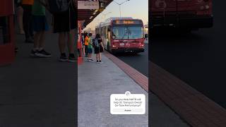 8104 4656 amp 6509 · Departing Buses ASMR [upl. by Aibat]