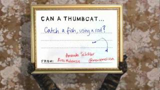 Can a Thumbcat  Catch a Fish using a Rod [upl. by Ettenoitna799]