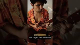 Pink Floyd  Time UKULELE COVER [upl. by Milak171]