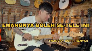 REVIEW FENA GUITARS TELECASTER [upl. by Erskine348]