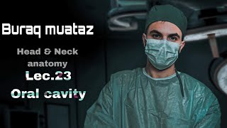 Lec23part 1 Oral cavity  OverviewVestibuleOral cavity properampFloor [upl. by Raf982]