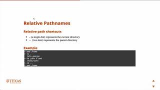 Basic Unix Commands  File System Navigation [upl. by Ker]