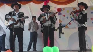 quotQuerrequequot 7th International Festival of Culture May 2017 Benque Viejo Belize [upl. by Neelyahs]