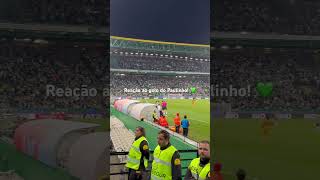 Sporting vs Boavista golo do Paulinho 2024 shorts sporting portugal lisboa [upl. by Ayiak]