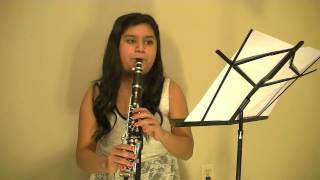 I Knew You Were TroubleTaylor Swift Clarinet Cover [upl. by Lonergan]