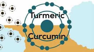 HealthKeytv  Joint Mobility  Turmeric and Bromelain [upl. by Leopold624]