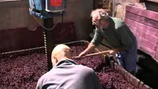 Un pressoir traditionnel en Pays Beaujolais [upl. by Sremmus153]