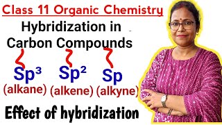 hybridizationhybridization in carbon compounds sp³sp² and sp hybridizationClass 11 Chemistry [upl. by Ainirtac]