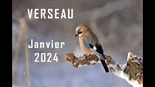 VERSEAU ♒ JANVIER 2024Waouh  Travail argent famille Vos rêves sont actés réalisation en cours [upl. by Kellen]