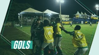 Gols  Palmeiras 3 x 0 Grêmio  Copa Brasil Sub15 [upl. by Summers]