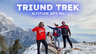 Triund Trek Mcleodganj  Triund Trek Full Information  Himanchal Pradesh [upl. by Paloma]