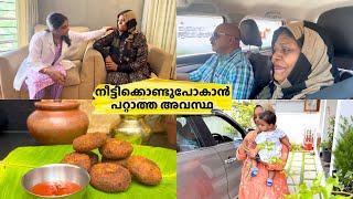 മുൻപ് ഡോക്ടർ പറഞ്ഞത് തന്നെ സംഭവിച്ചു  വീട്ടമ്മമാർ സൂക്ഷിക്കുക  Special Recipe  Salu Kitchen [upl. by Decamp]