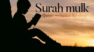 Surah Mulk  Peaceful  Quran recitation before sleep with English translations [upl. by Enisaj]