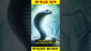 মুসলিম মহিলার কবরে সাপ অপেক্ষা করছিল  কবরের আজাব  Koborer Ajab [upl. by Eremahs]