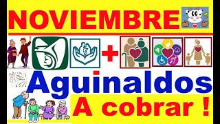 NOVIEMBRE AGUINALDOS A COBRAR  PENSIONES IMSS E ISSSTE  PAGOS BIENESTAR EN NOV SALUD CASA X CASA [upl. by Anabelle842]