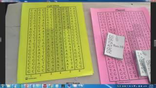 LAB Recombinant DNA using Paper Plasmids [upl. by Matlick]