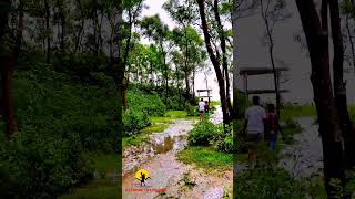 chorkukrimukri beach bangladesh nature viralshort travel vlog extremetravellers [upl. by Hahsia]