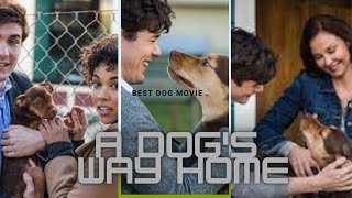 A DOGS WAY HOME Now on Digital amp on Bluray April 9 [upl. by Tess]