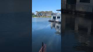 youtubeshorts travel australiatravel nature caravanlife river australia southaustralia [upl. by Ches]