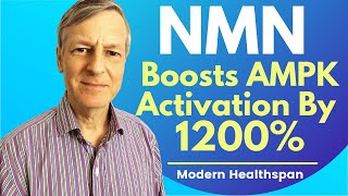 NMN Boosts AMPK Activation By 1200 And NAD By 300  Review By Modern Healthspan [upl. by Adnovoj]