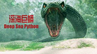 Full Movie Snake 深海巨蟒 Deep Sea Python 大蛇  探险动作电影 Adventure Action film HD [upl. by Stevie]