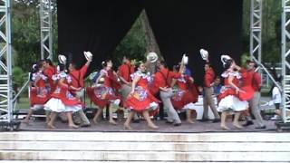 Gíbaro de Puerto Rico Fiesta en Borinquen Plena Cortarón a Elena [upl. by Yssis918]