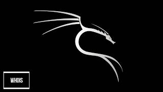 KALI LINUX WHOIS 2018 [upl. by Rayshell]