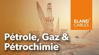 Pétrole Gaz amp Pétrochimie [upl. by Casie]