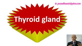 Thyroid gland  Capsule  Retrosternal goiter  Relations  Verves related  Superior thyroid artery [upl. by Innos]