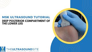 Musculoskeletal ultrasound evaluation of the deep posterior compartment of the lower leg [upl. by Leone]